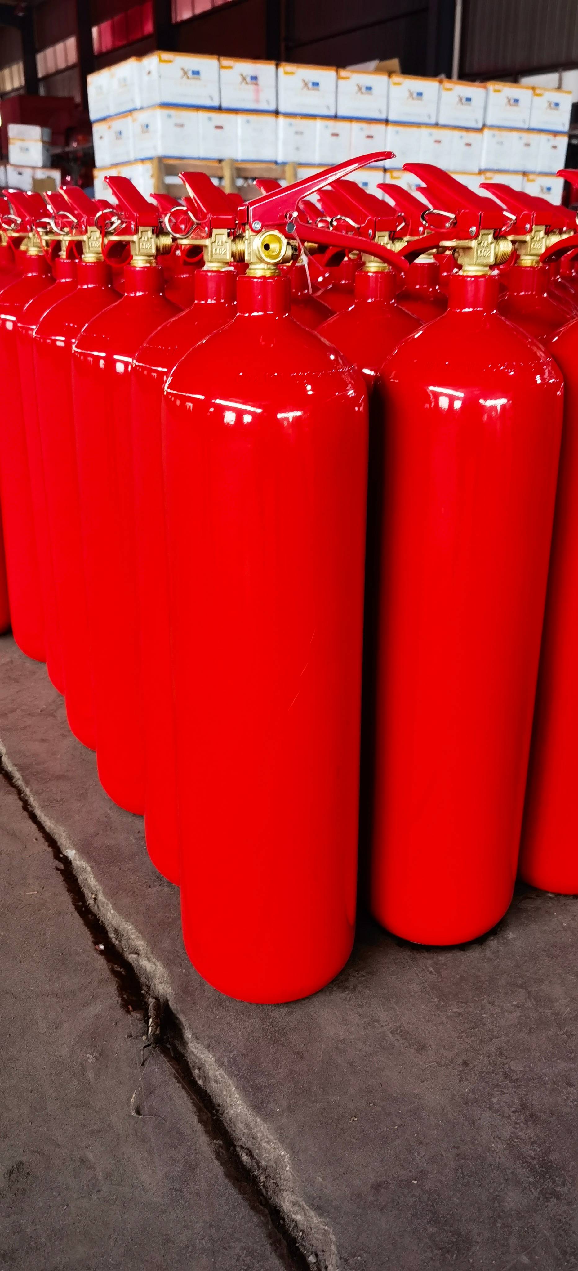 IMG_20240701_154841 IMG_20240701_154841