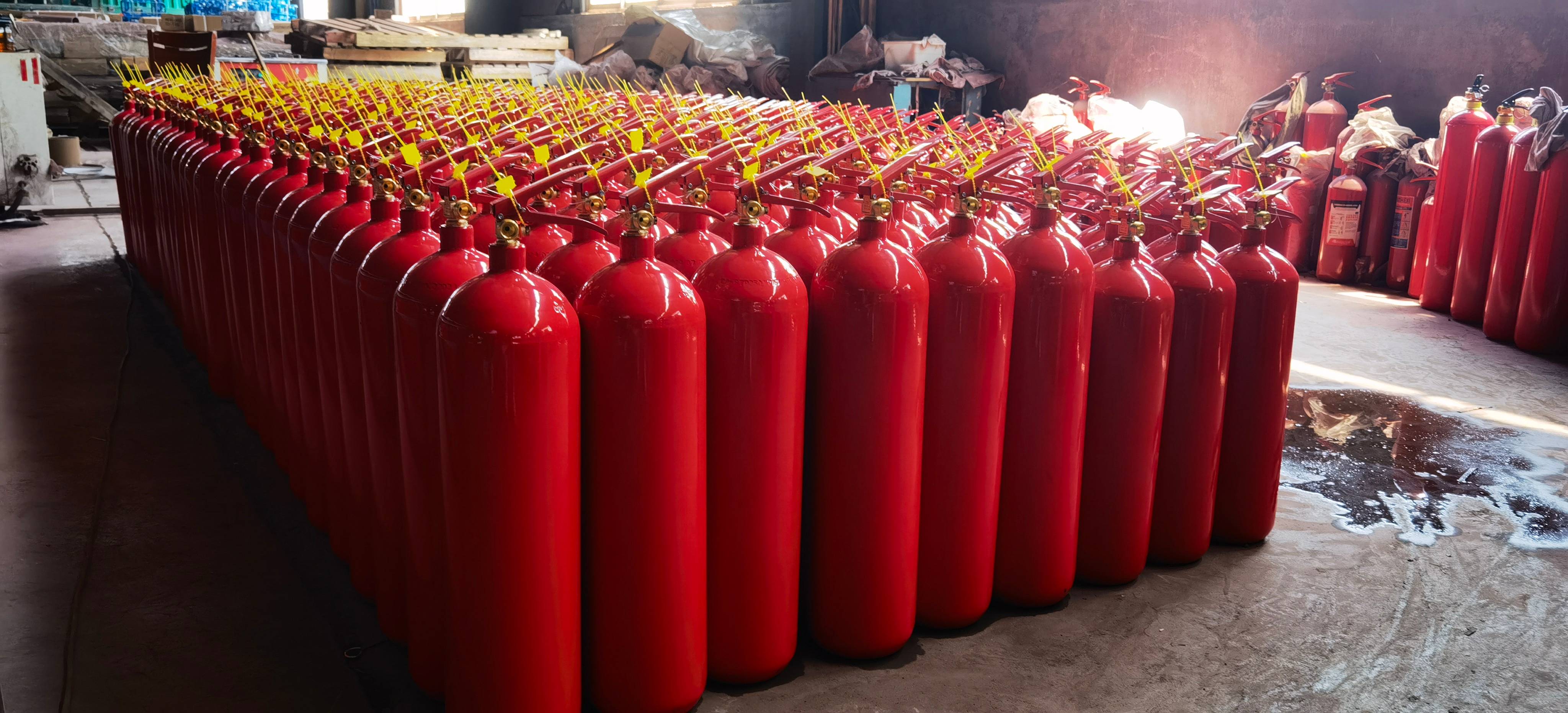 IMG_20240722_110745 IMG_20240722_110745