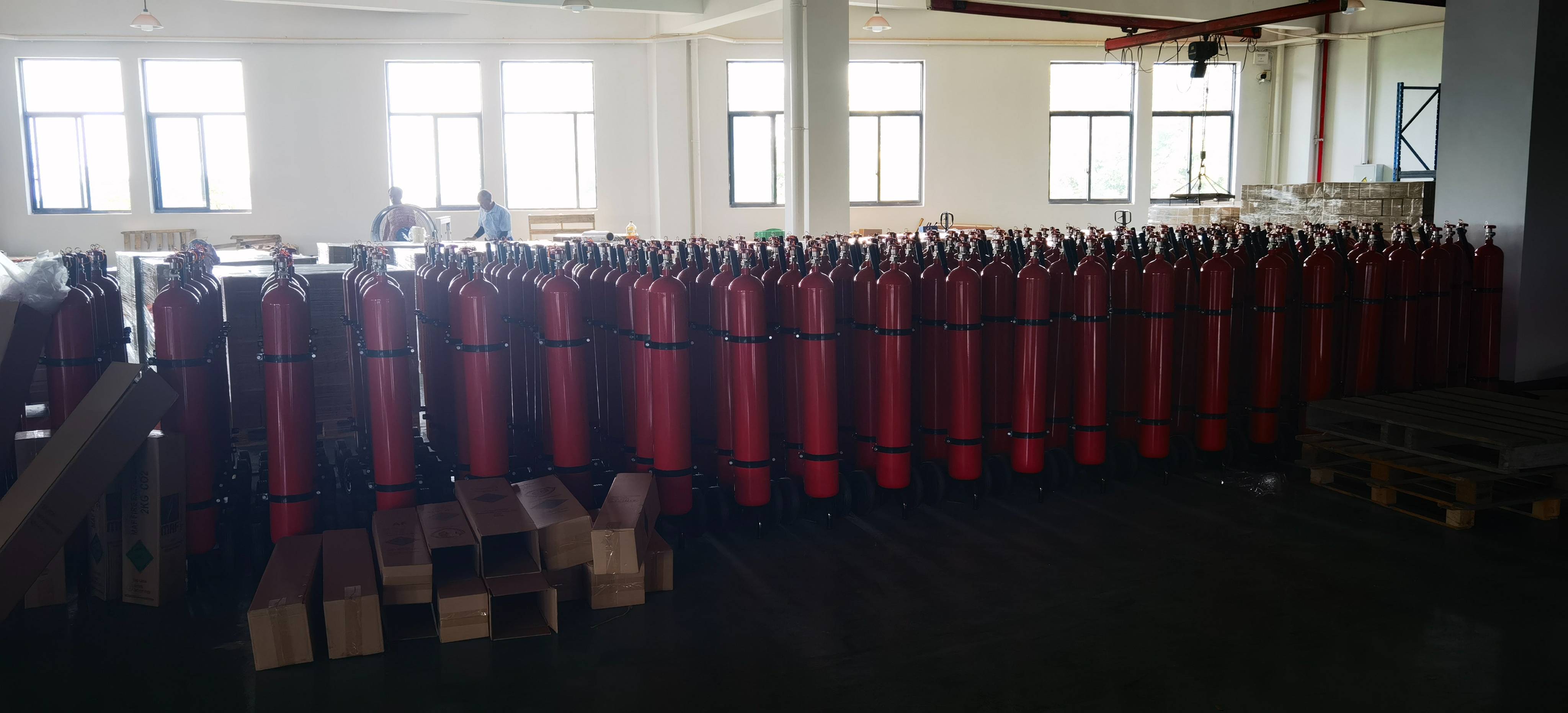 IMG_20240708_143759 IMG_20240708_143759