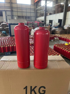 Emergency Small Fire Extinguisher Accessories For Fireplace