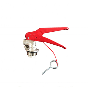 4~12KG CE Standard High Quality Dry Powder Fire Extinguisher Valve