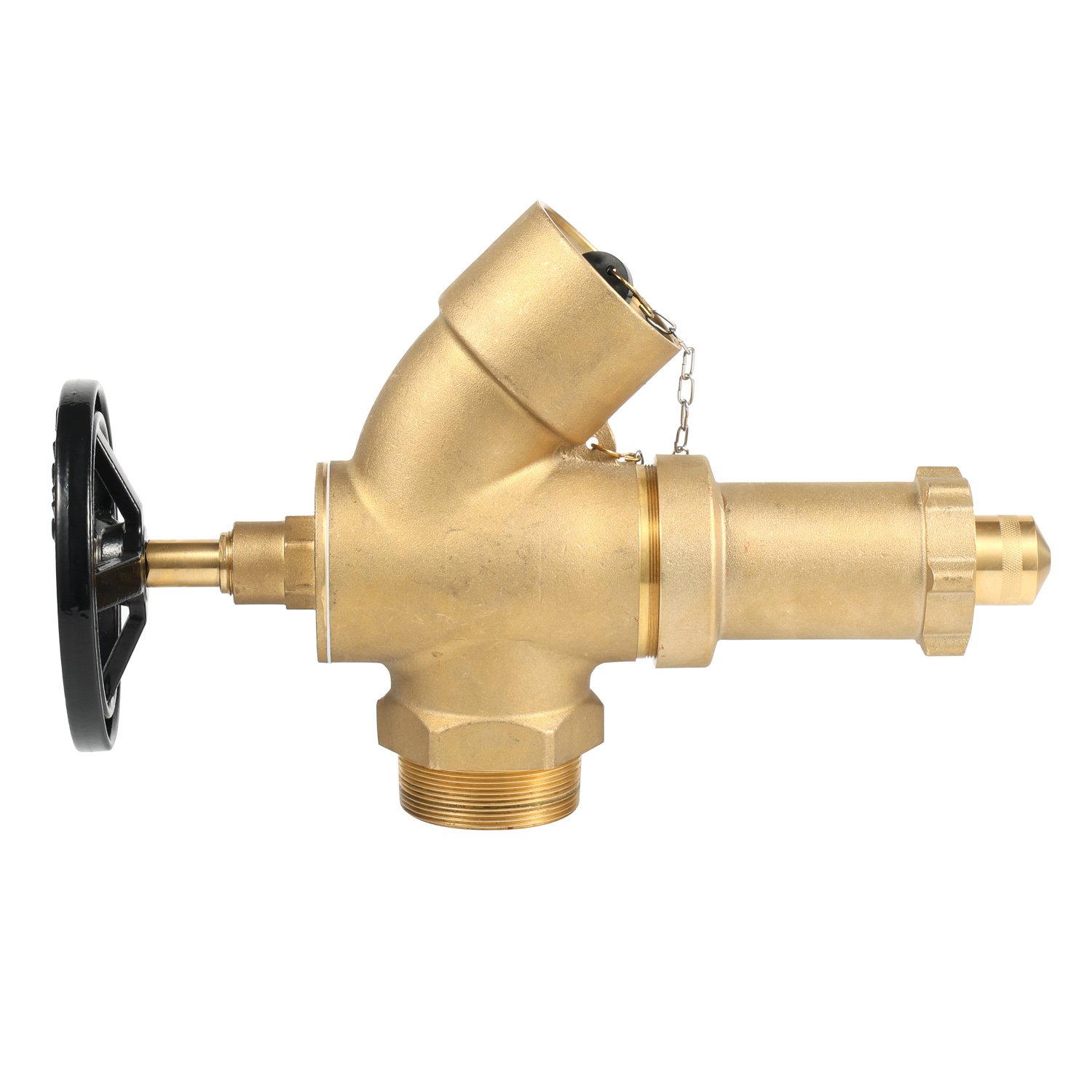 photobank - 2026-02-28T115353.741