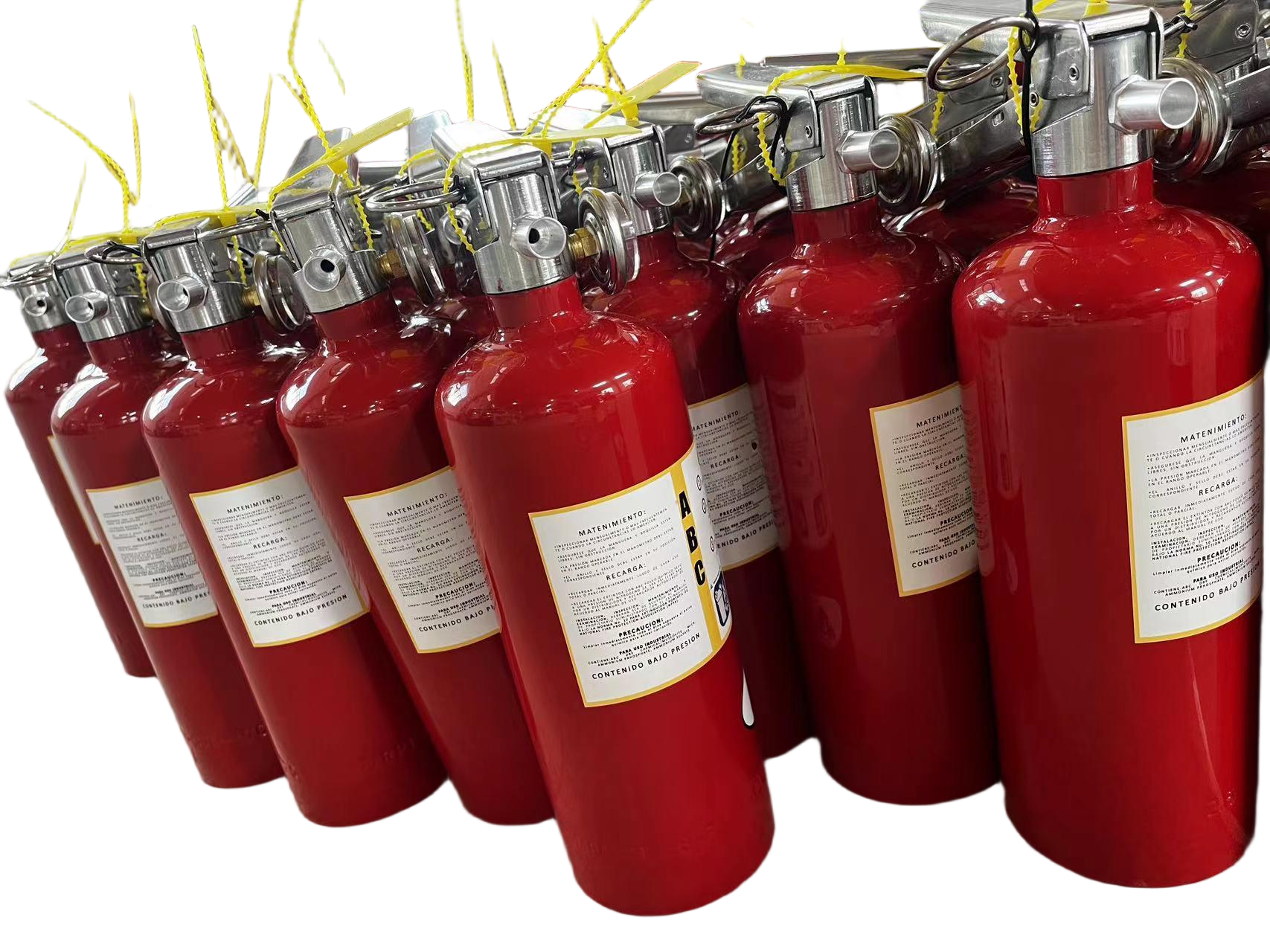 2.5LBS US STYLE Dry Powder Fire Extinguisher