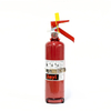 2.5Lbs Mexico Dry Powder Fire Extinguisher