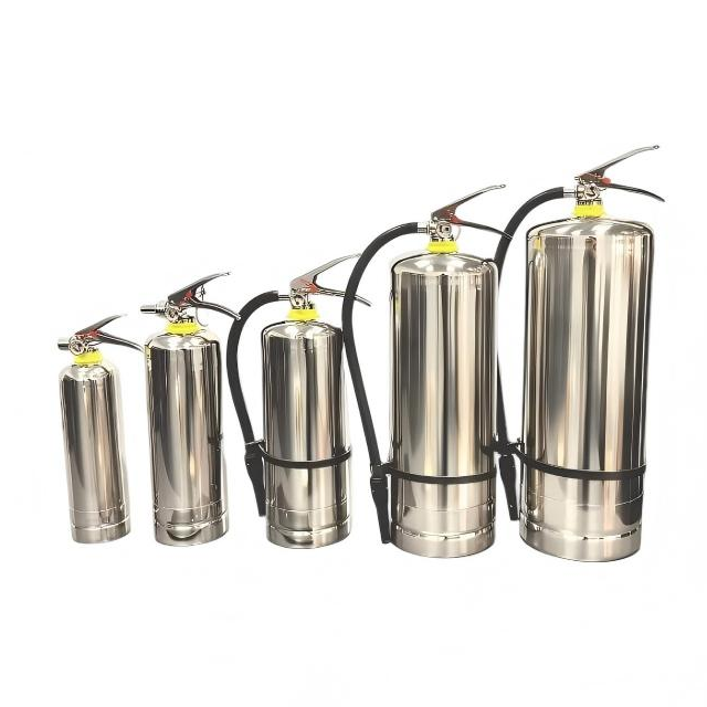 SUS 304 1L/2L/3L/4L/6L/9L Stainless Steel Foam Fire Extinguisher 