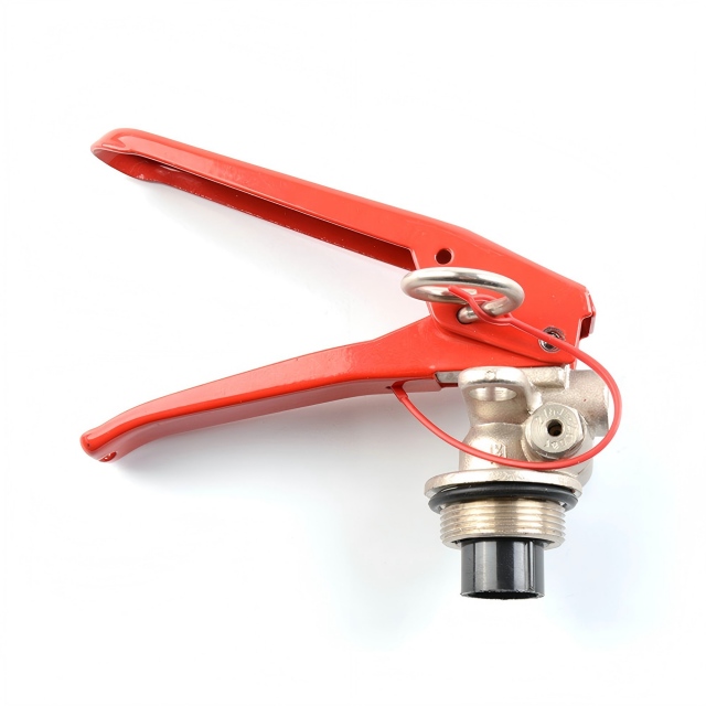 M30 CE Standard Dry Powder Fire Extinguisher Valve with Safety Valve