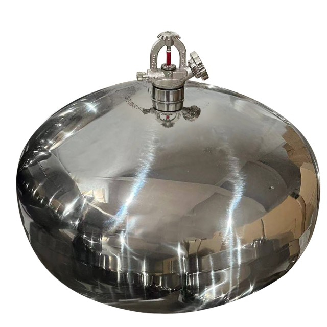 6KG Stainless Steel Automatic Dry Powder Fire Extinguisher 