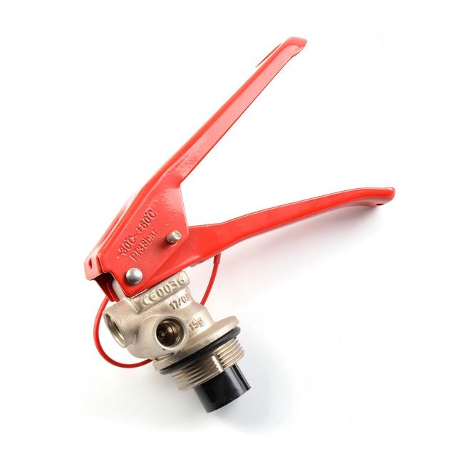 M30 CE Standard Dry Powder Fire Extinguisher Valve with Safety Valve