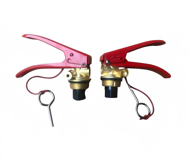 Turkish Fire Extinguisher Pressure Brass Valve 