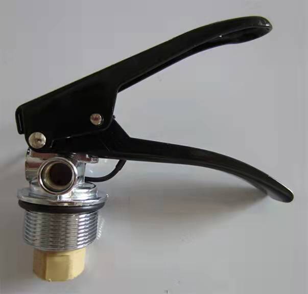 India Valve